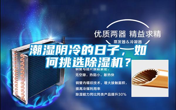 潮濕陰冷的日子，如何挑選除濕機？