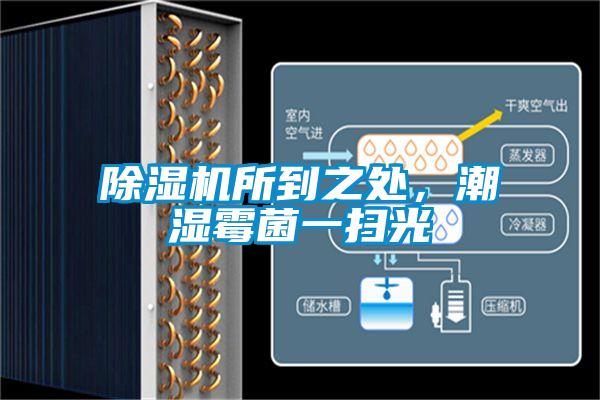 除濕機(jī)所到之處,潮濕霉菌一掃光