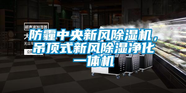 防霾中央新風除濕機，吊頂式新風除濕凈化一體機