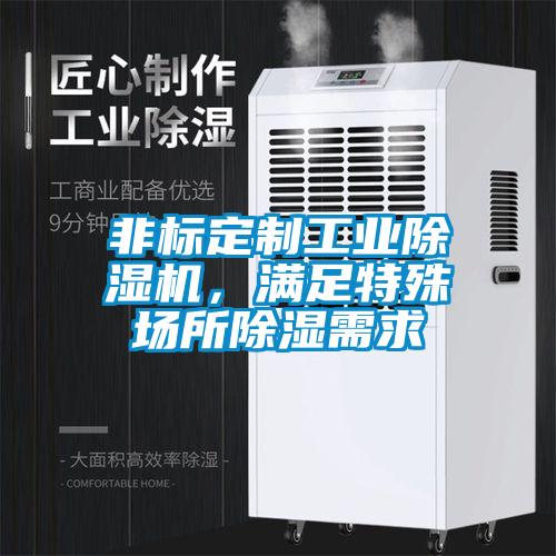 非標定制工業除濕機，滿足特殊場所除濕需求