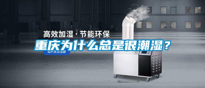 重慶為什么總是很潮濕？