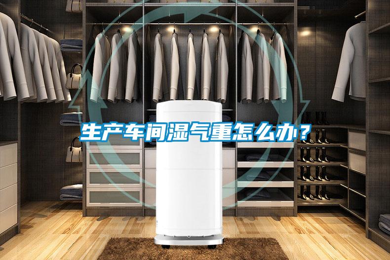 生產(chǎn)車間濕氣重怎么辦?