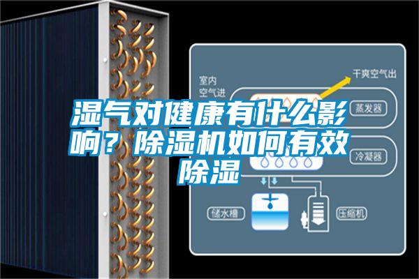 濕氣對健康有什么影響?除濕機如何有效除濕