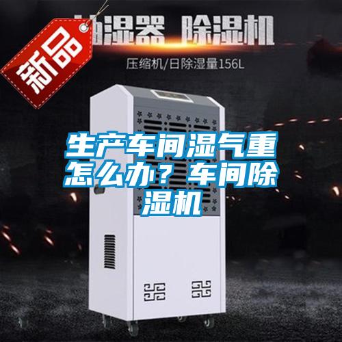 生產車間濕氣重怎么辦？車間除濕機