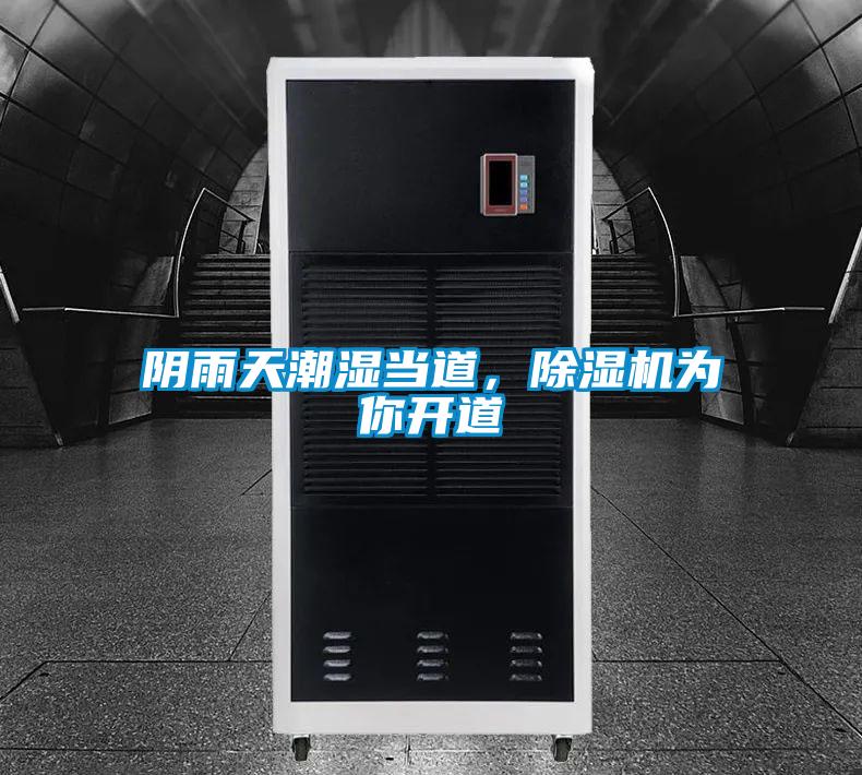 陰雨天潮濕當道，除濕機為你開道