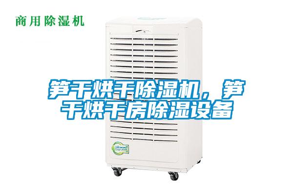 筍干烘干除濕機,筍干烘干房除濕設備