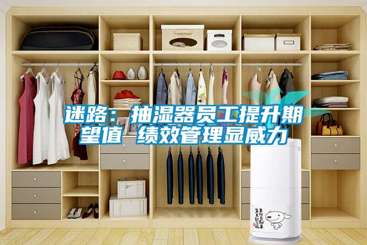 迷路:抽濕器員工提升期望值 績(jī)效管理顯威力