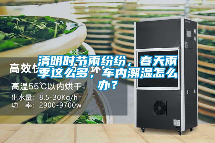 清明時節(jié)雨紛紛，春天雨季這么多，車內(nèi)潮濕怎么辦？
