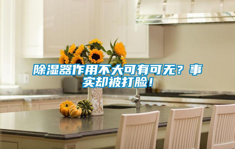 除濕器作用不大可有可無？事實卻被打臉！