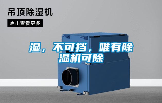 濕，不可擋，唯有除濕機可除