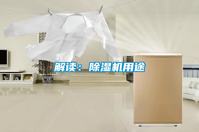 解讀:除濕機用途