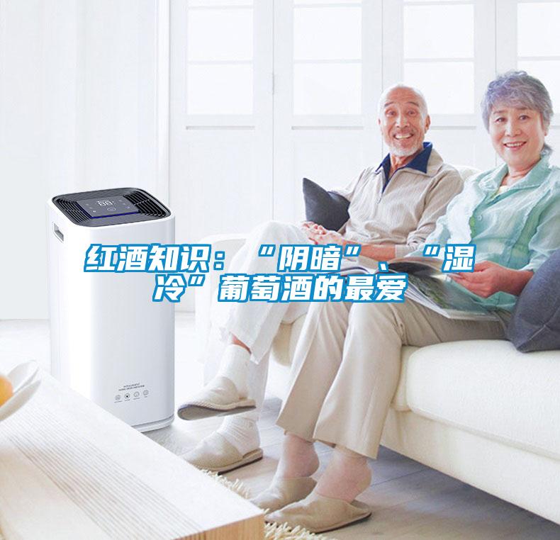 紅酒知識(shí):“陰暗”、“濕冷”葡萄酒的最愛(ài)