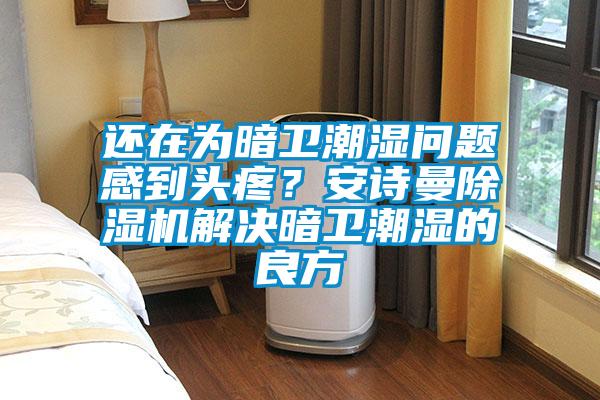 還在為暗衛(wèi)潮濕問題感到頭疼?安詩曼除濕機(jī)解決暗衛(wèi)潮濕的良方