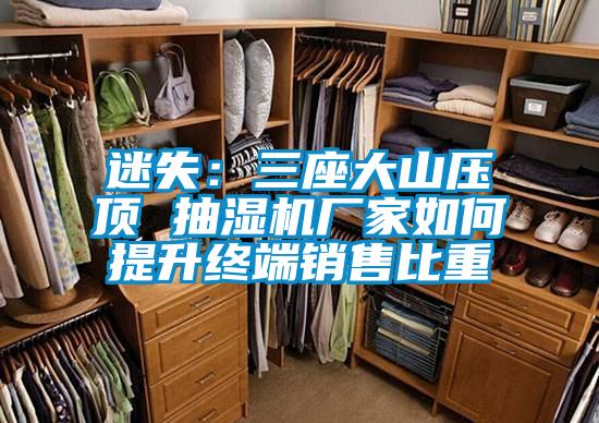 迷失:三座大山壓頂 抽濕機廠家如何提升終端銷售比重