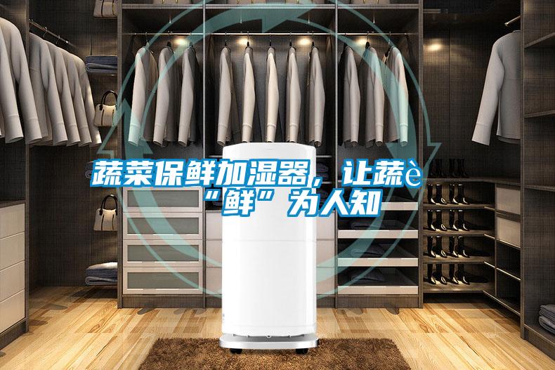 蔬菜保鮮加濕器,讓蔬菜“鮮”為人知