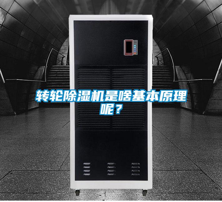 轉輪除濕機是啥基本原理呢?