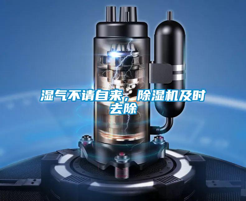 濕氣不請自來，除濕機(jī)及時(shí)去除