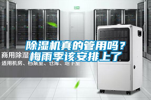 除濕機真的管用嗎？梅雨季該安排上了