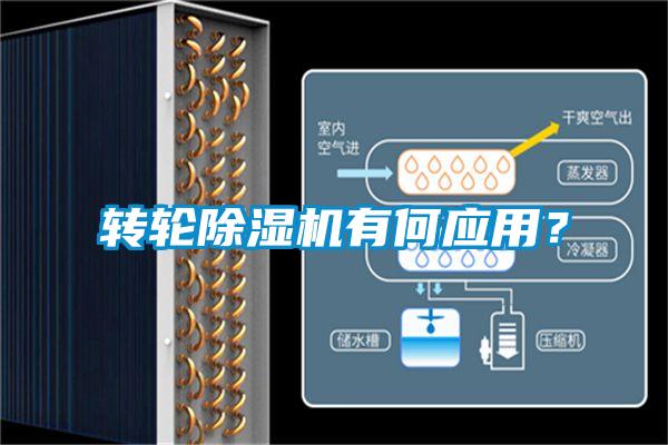 轉(zhuǎn)輪除濕機(jī)有何應(yīng)用?