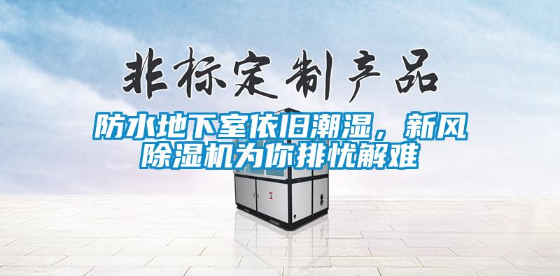 防水地下室依舊潮濕,新風(fēng)除濕機(jī)為你排憂解難