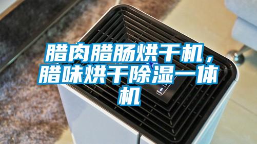 臘肉臘腸烘干機,臘味烘干除濕一體機