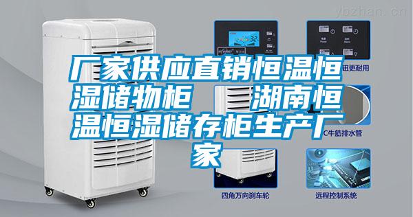 廠家供應(yīng)直銷恒溫恒濕儲物柜 湖南恒溫恒濕儲存柜生產(chǎn)廠家