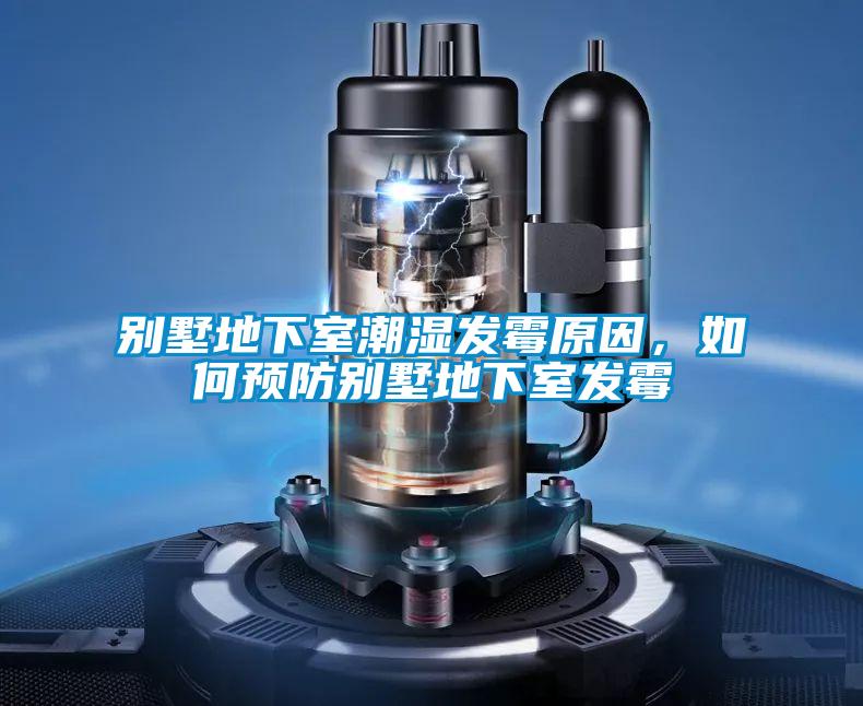 別墅地下室潮濕發(fā)霉原因，如何預防別墅地下室發(fā)霉