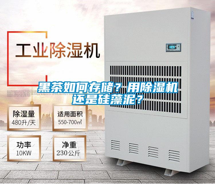 黑茶如何存儲?用除濕機還是硅藻泥?