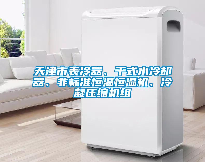 天津市表冷器、干式水冷卻器、非標(biāo)準(zhǔn)恒溫恒濕機(jī)、冷凝壓縮機(jī)組