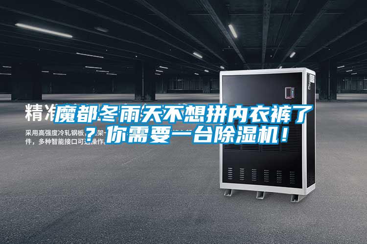 魔都冬雨天不想拼內(nèi)衣褲了?你需要一臺除濕機(jī)!