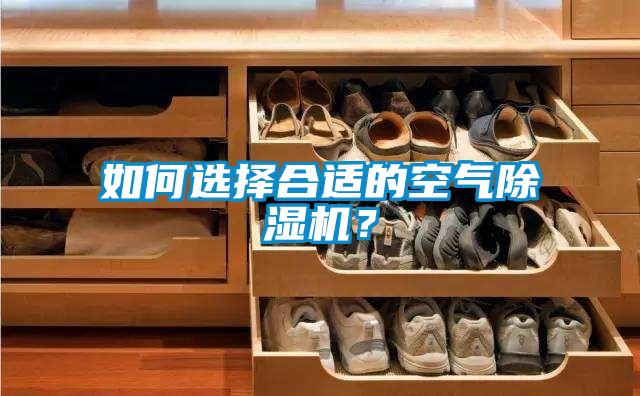 如何選擇合適的空氣除濕機(jī)？