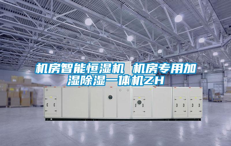 機(jī)房智能恒濕機(jī) 機(jī)房專(zhuān)用加濕除濕一體機(jī)ZH