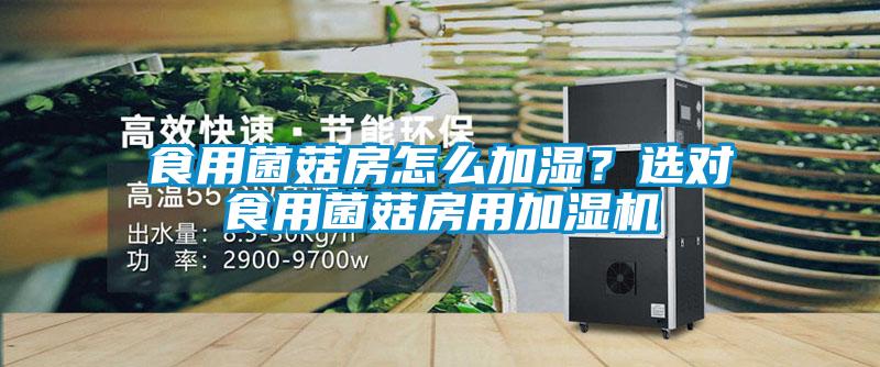 食用菌菇房怎么加濕？選對食用菌菇房用加濕機