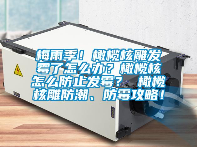 梅雨季!橄欖核雕發(fā)霉了怎么辦?橄欖核怎么防止發(fā)霉? 橄欖核雕防潮、防霉攻略!