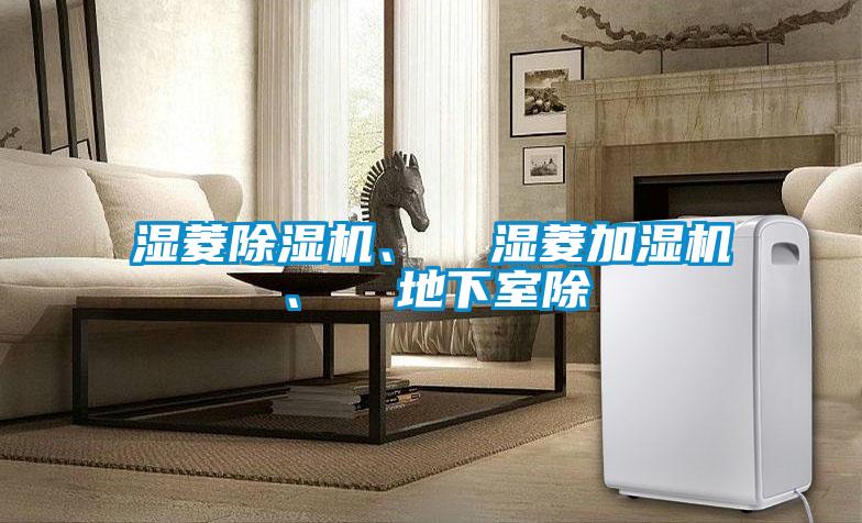濕菱除濕機、  濕菱加濕機、  地下室除
