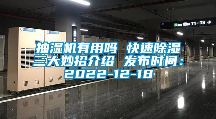 抽濕機有用嗎 快速除濕三大妙招介紹 發布時間:2022-12-18