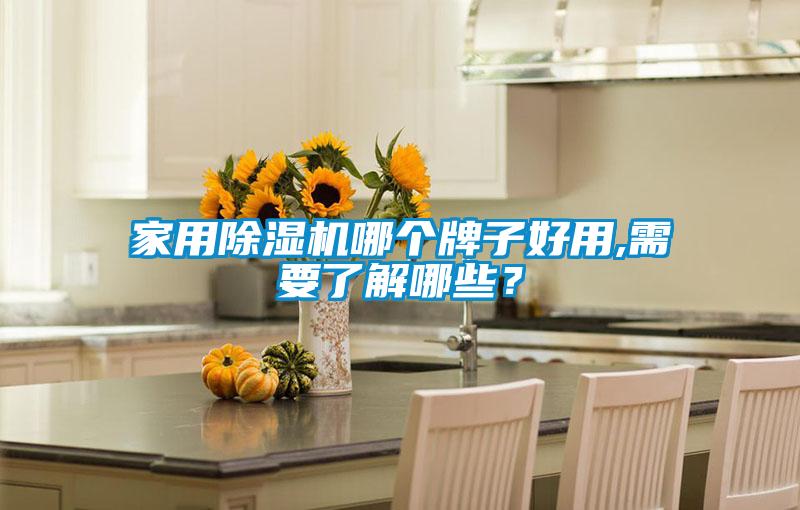 家用除濕機(jī)哪個(gè)牌子好用,需要了解哪些?