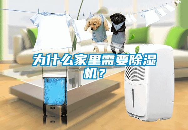 為什么家里需要除濕機？
