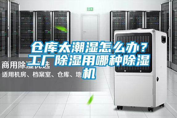 倉庫太潮濕怎么辦？工廠除濕用哪種除濕機