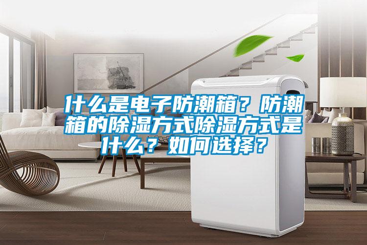 什么是電子防潮箱？防潮箱的除濕方式除濕方式是什么？如何選擇？