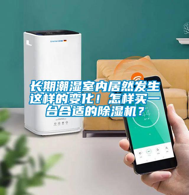 長期潮濕室內(nèi)居然發(fā)生這樣的變化!怎樣買一臺(tái)合適的除濕機(jī)?
