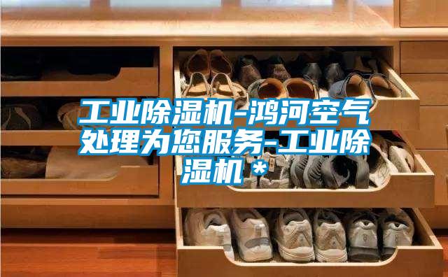 工業(yè)除濕機(jī)-鴻河空氣處理為您服務(wù)-工業(yè)除濕機(jī)*