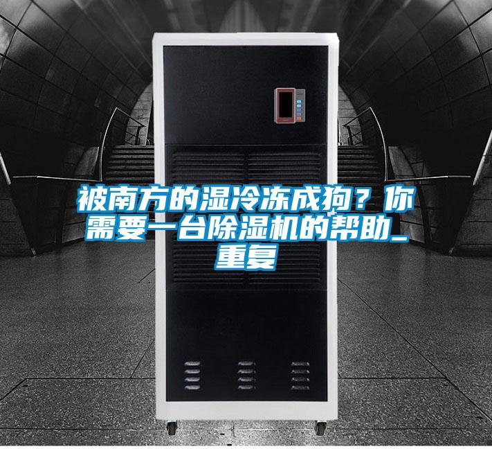 被南方的濕冷凍成狗？你需要一臺除濕機的幫助_重復
