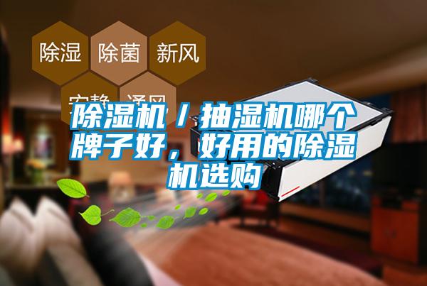 除濕機／抽濕機哪個牌子好，好用的除濕機選購
