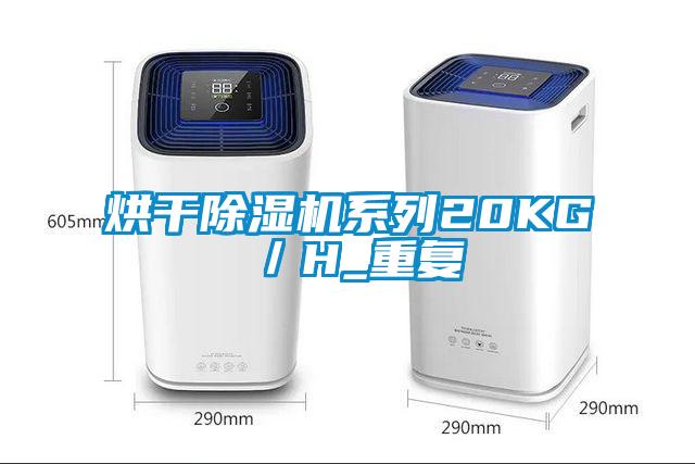 烘干除濕機系列20KG/H_重復(fù)
