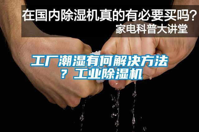 工廠潮濕有何解決方法？工業除濕機