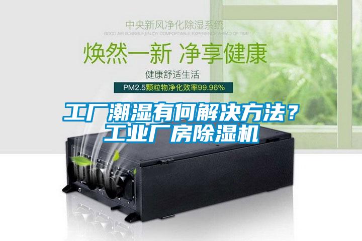 工廠潮濕有何解決方法?工業(yè)廠房除濕機