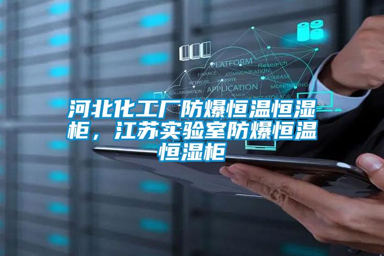 河北化工廠防爆恒溫恒濕柜，江蘇實驗室防爆恒溫恒濕柜