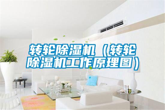 轉(zhuǎn)輪除濕機(轉(zhuǎn)輪除濕機工作原理圖)