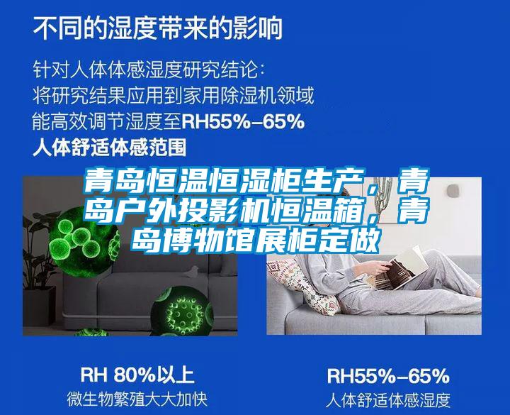 青島恒溫恒濕柜生產(chǎn)，青島戶外投影機(jī)恒溫箱，青島博物館展柜定做